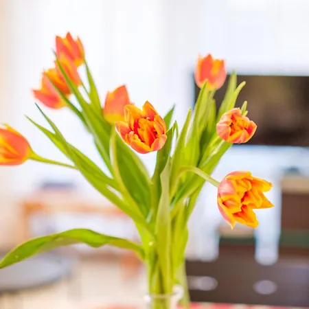 Riviera Anemone Lägenhet